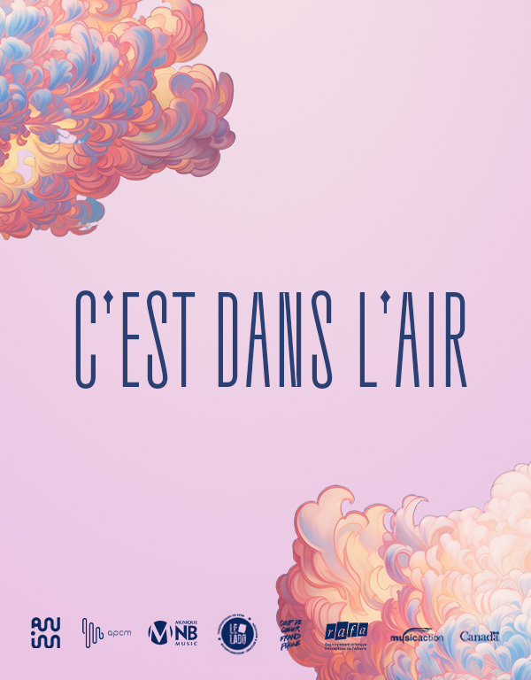     Cest dans lair affiche officielle
